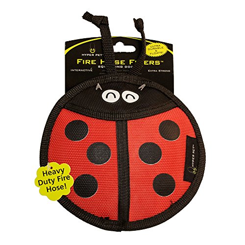 Hyper Pet Firehose Flyers Ladybug Durable Squeaky Dog Toy 9.8 x 1.2 x 6.5 inches