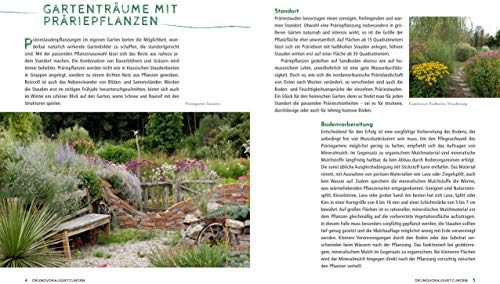 Die schönsten Pflanzen, die wenig Wasser brauchen für Garten, Balkon und Terrasse - 66 trockenheitsverträgliche Stauden, Sträucher, Gräser und Blumen, die heiße Sommer garantiert überleben - 7