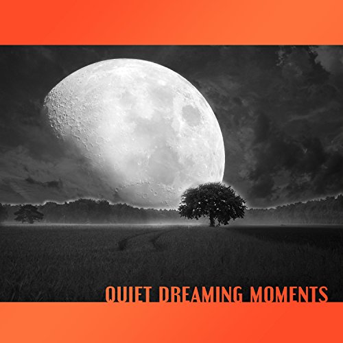 Quiet Dreaming Moments 50 Music Hypnosis for Better Sleep at Night