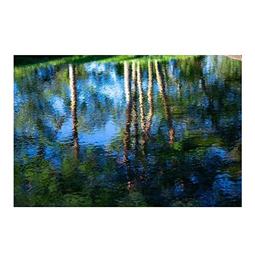 Sigma 56Mm F/1.4 Dc Dn Contemporary Lens for E-Mount Mirrorless Cameras (Aps-C Format, Black) - Image 8