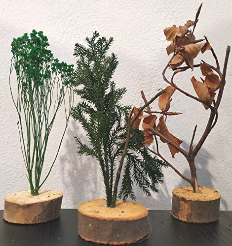 DUE ESSE SRL Set di 3 Alberi per Presepe, Miniature o Diorami (15 cm cad. Circa)