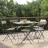 Frdhee Sillas de jardín para relajarse, 6 unidades, plegables, polirratán y acero, para exteriores, para camping, jardín, balcón, se puede montar rápidamente