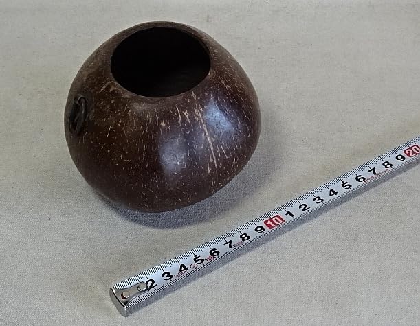 Amazon.co.jp: 時代椰子の実掛花入掛花入花器椰子ヤシ茶道煎茶華道骨董