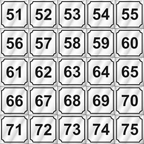 Norton Supply Washer ID Decals - Set of 25 Silver Mylar Sticker Slide, Adhesive, Waterproof Decals for Machine Classification, Inventory Number Labeling -Indoor and Outdoor Use, #51-75 Cover