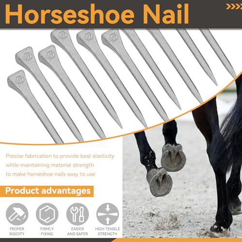 Image of 250Pcs 2.1inch E6 Horseshoe Nails, Steel Horse Shoe Nails Horse Hoof Nails Horseshoe Tools for Horse Training Equestrian Sports