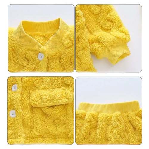 Image of Bold N Elegant Kids Dinosaur Thick Warm Fleece Fur T-shirt Sweatshirt Joggers Pant Winter Coord Set for Baby Boy Girl