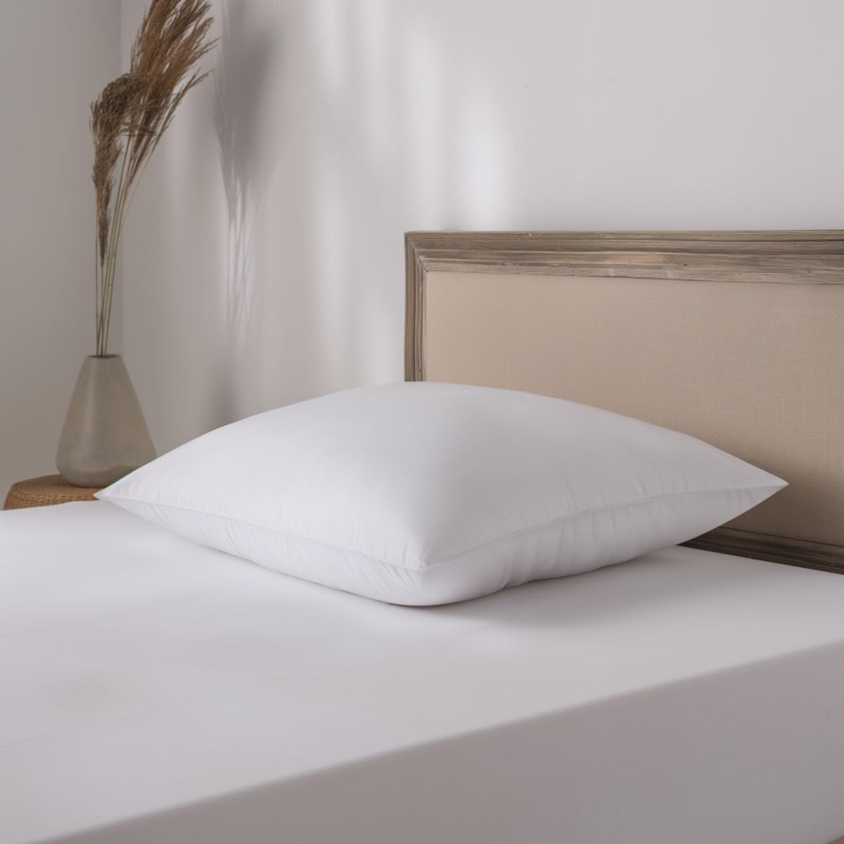 TOISON D'OR - Oreiller Anti-acariens 65x65 cm - Soutien Medium (Dos) - Fibre Creuse Siliconée - Gonflant & Sommeil Sain - Enveloppe 100% Coton - Finition Biais - Lavable 40°C