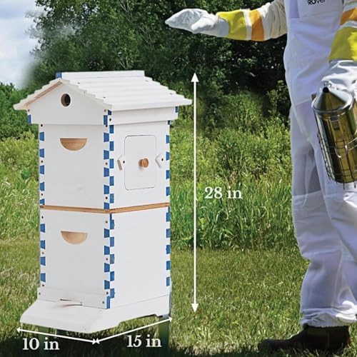 Kit Completo per lavvio di Un Alveare con Finestra di osservazione e beccuccio per Il Miele, in Legno di Cedro.
