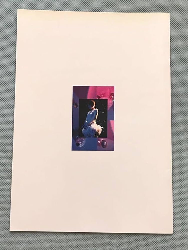 Amazon.co.jp: 荻野目洋子 1989年コンサートツアー パンフレット