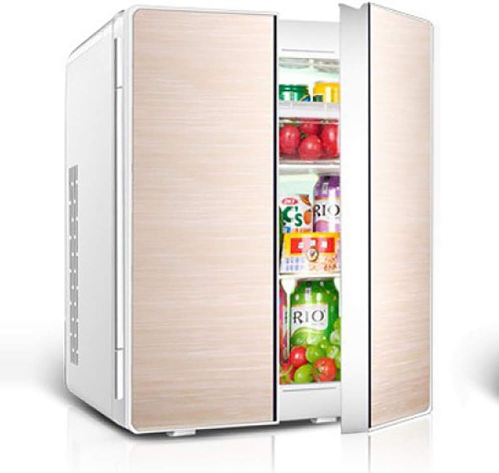 ZTLF&B Dual Voltage Car Refrigerator Portable Fridge 12V