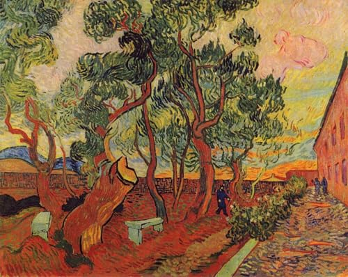 Affiche le Jardin de l'Hôpital Saint Paul de Van Gogh Impression sur Toile 60x90cm