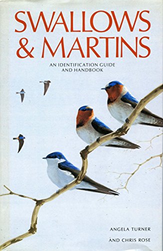 Swallows & Martins: An Identification Guide and... 0395511747 Book Cover