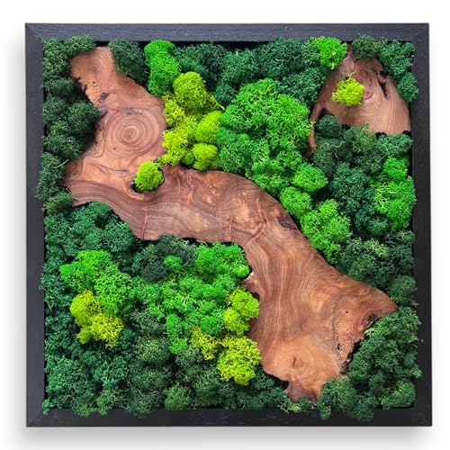 Serenzy 12' Square Cedar & Preserved Moss Wall Art | Unique No-Maintenance Decor for Home, Office, Restaurant, Angled Wood