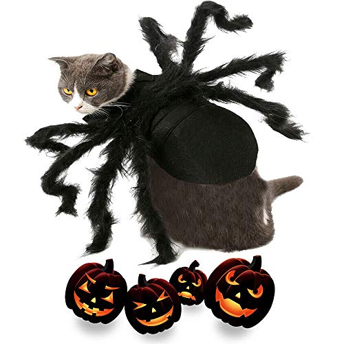 Disfraz de Araña para Perro Halloween Talla M miniatura 4