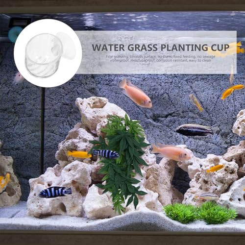 Comederos para peces evitan desperdicio de comida en acuarios agua dulce Toddmomy 4