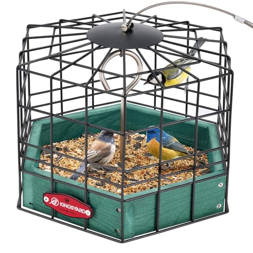 Kingsyard Squirrel Proof Platform Bird Feeders for Outdoor Hanging, 10' Wide Metal Caged Bird Feeder for Small Wildbirds Finches, Recycled Plastic Feeding Platform with Metal Seed Tray, Green