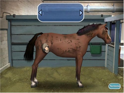 Pony Girl