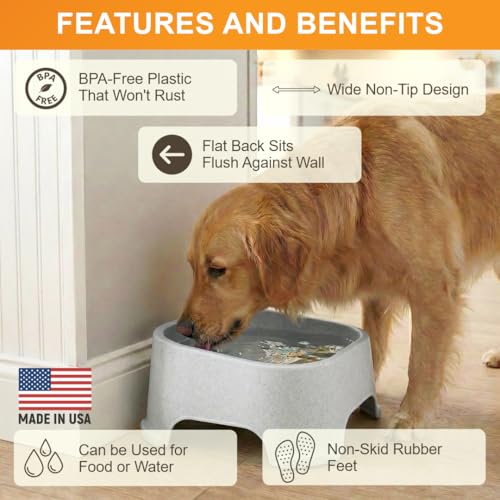 Image of Neater Pet Brands Extra Large Water Bowl for Dogs, Outdoor Dog Water Bowl (1.25 Gallon XL Capacity), Big Trough Style Food Dish for Indoors or Outside, No Spill Large Dog Bowls, Vanilla Bean