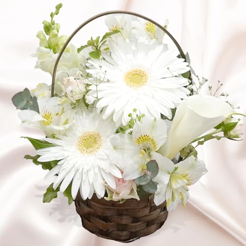 / AWg  MTCYyIׂJ[z ؂ AW  Mtg v[g a ̓ LO j v[g t[AWg n