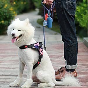   Poop-Bags-Dog-Waste-Bags-60-Rolls-1200-Bags-Doggy-Poop-Bags-Unscented-2-Dispensers