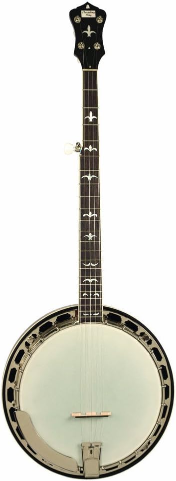 Recording King RK-R36-BR Madison Tone Ring Banjo, resonador de caoba