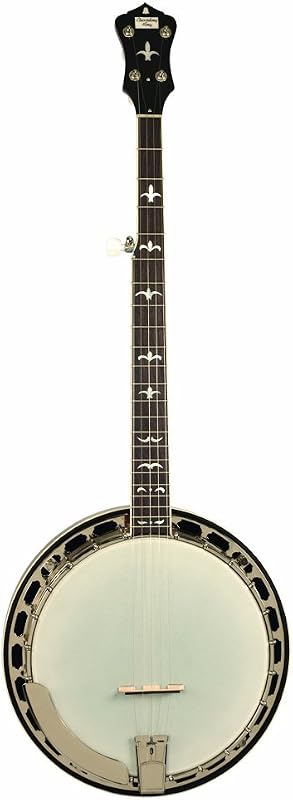Recording King RK-R36-BR Madison Tone Ring Banjo, resonador de caoba