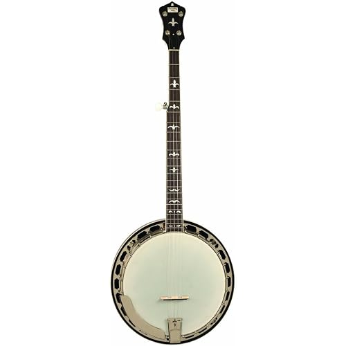Recording King RK-R36-BR Madison Tone Ring Banjo, Mahogany Resonator