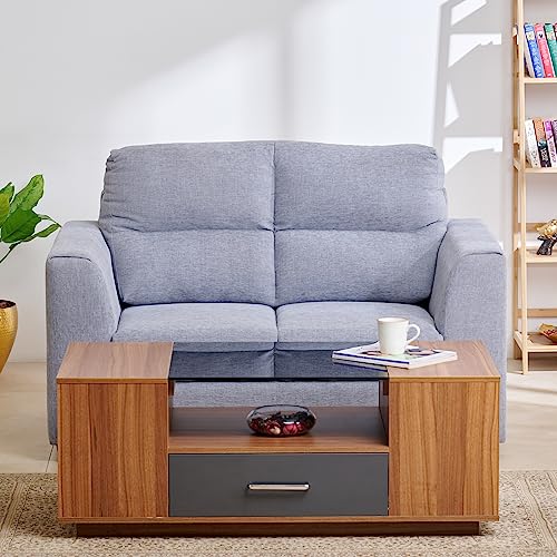 Home Centre Ellora Fabric 2-Seater Sofa - Grey