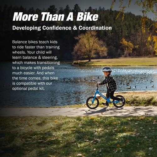 Strider SK-SB1-US-BL 14X, Awesome Blue - Balance Bike For Kids 3 To 6 Years - Includes Kid-Size Grips, Padded Seat thumb #1