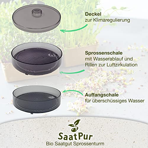 Foto von SaatPur® Keimsprossenbox Set 1 mit Einer Etagen als Sprossen Keimgerät: Sprossen Anzucht sowie Microgreens Anzuchtschalen. Keimbox, Keimschale, Keimschachtel, Sprossenbox, Sprossenhaus, Keimgerät