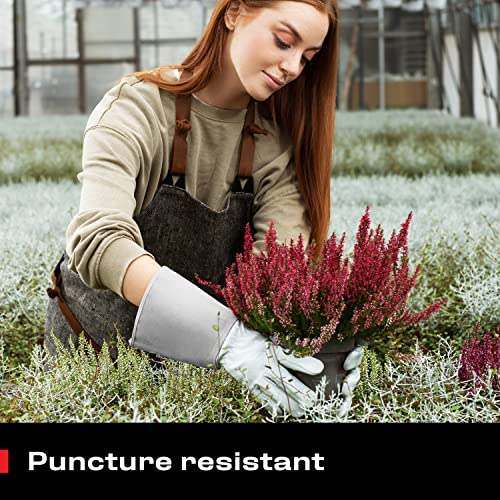 Nocry Long Leather Gardening Gloves For Women And Men; Near Thorn Proof For Cactus, Rose And Blackberry Pruning, General Yard Work And Garden Gloves; Reinforced Palms And Fingertips; Grey; X-Small #TOP2