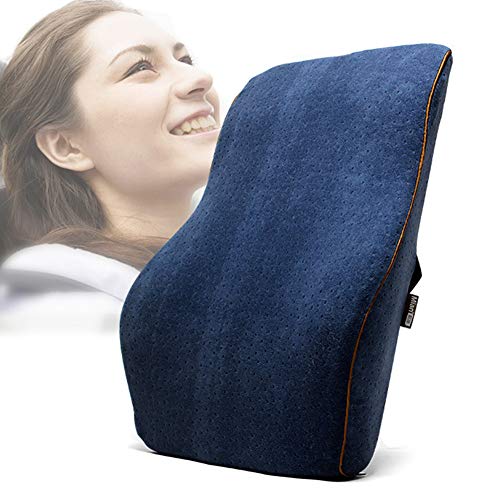 Pillow Lumbar Support Cushion Posture Therapy Memory Foam Ergonomic Back Support for Home