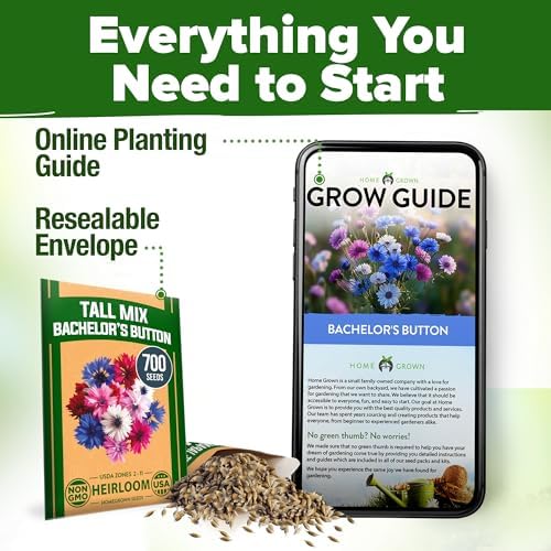 HOME GROWN Bachelor Button Flower Seeds Tall Mix 700+ Cornflower Heirloom Seeds for Planting - Quick Blooming, Non-GMO, Pollinator Friendly, Easy to Grow Wildflowers USA Grown (Centaurea cyanus) — view 7