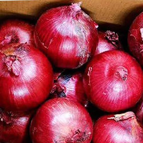  ܂˂ A[[bh 5kg MTCY kC kY  xǖY ԋʂ˂ Ԃ ʂ˂  ʂ˂/^}lM/ʔK 