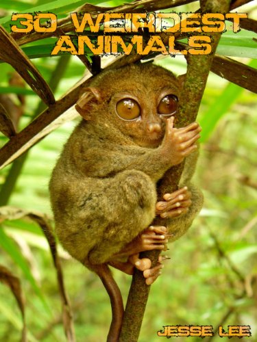 The 30 Weirdest Animals Lee Jesse Amazon Com