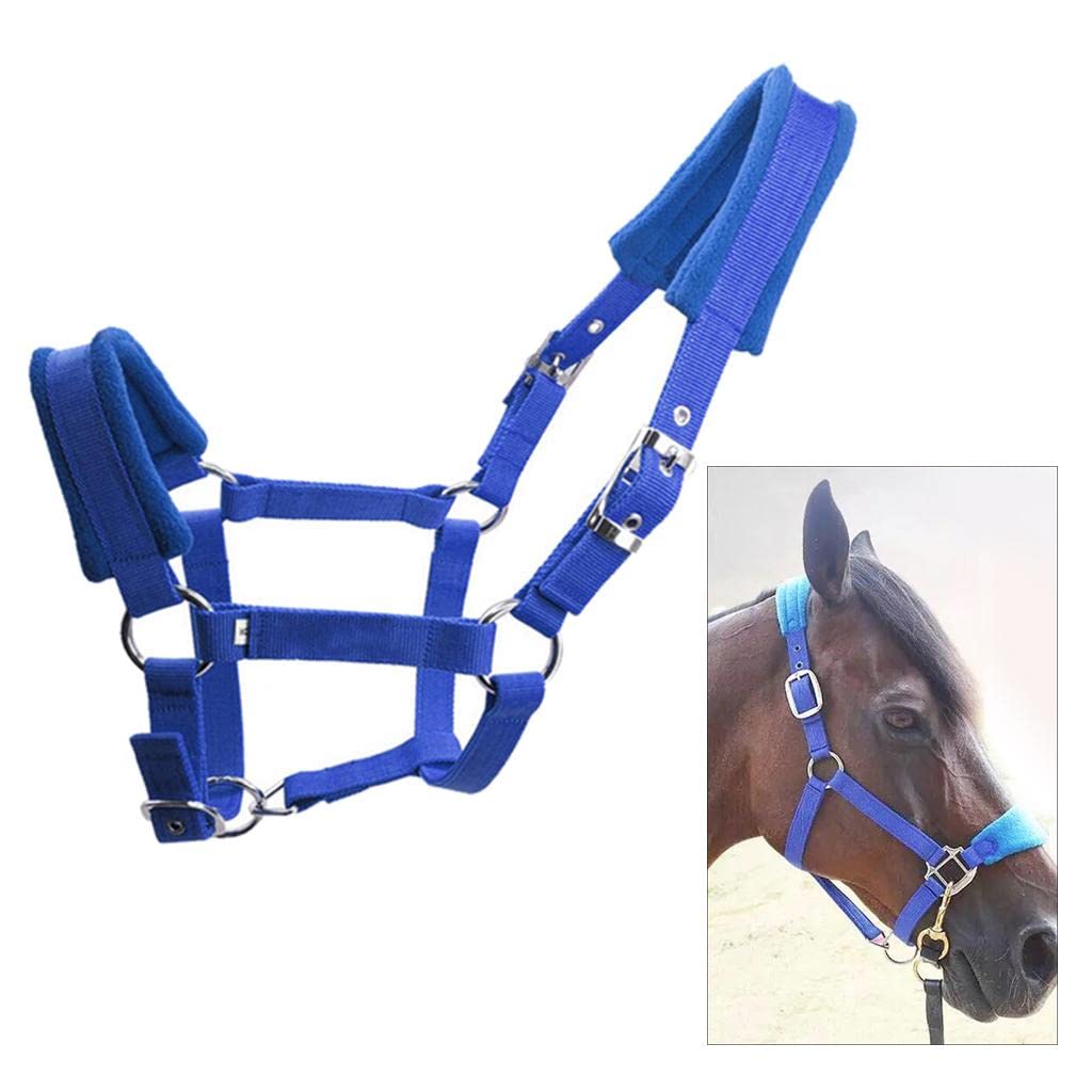 Cabezada Acolchada Suave para Caballos