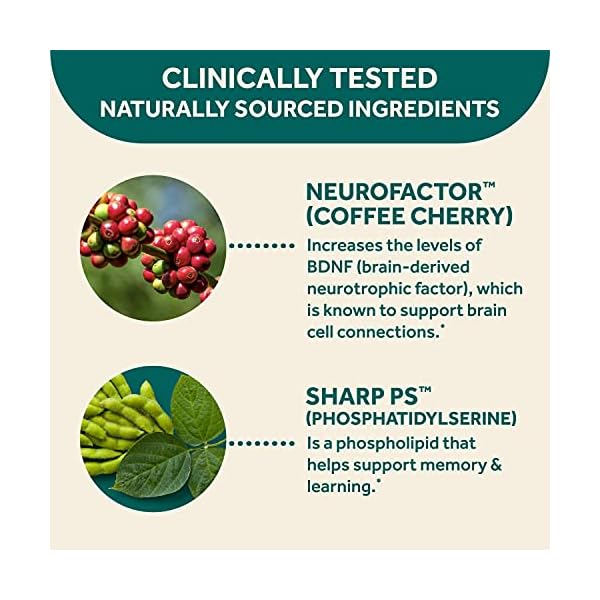 Neuriva-Nootropic-Brain-Support-Supplement-Original-Strawberry-Gummies-50-count-in-a-bottle-Phosphatidylserine-Gluten-Free-Vegetarian-Supports-Focus-Memory-Concentration-Learning-and-Accuracy NEURIVA Original Brain Supplement for Memory, Focus & Concentration + Learning & Accuracy with Clinically Tested Nootropics Phosphatidylserine and Neurofactor, Caffeine Free, 50ct Strawberry Gummies