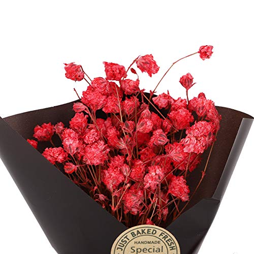 Flor seca elegante para decoración y regalo miniatura 6