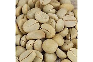 Dwarf Coffee Seeds for Planting