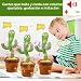 Imagen de seOSTO Cactus Bailarin