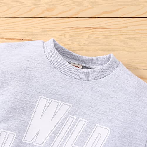 Toddler Boy's Cotton Crewneck Long Sleeve Sweatshirt Letter Long Sleeve Pullover Tops Fall Winter (Grey, 3-4 Years)4
