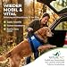 Nature Pet Tragehilfe für Hunde Vorne - Tragegurt als Treppenhilfe & Gehhilfe - Ideal für ältere, kranke oder operierte Vierbeiner - Hunde-Hebegurt für Mobilität (L, Blau)