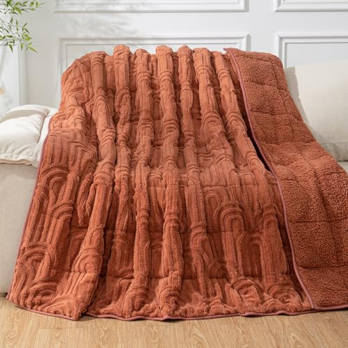 Image of Cottonblue Jacquard Weighted Blanket for Adults 20 lbs Queen Size, Cozy Fluffy Sherpa Fleece Weighted Throw Blankets 60 inch x 80 inch for Sleep Relax, Fuzzy Warm Arch Heavy Blanket for Bed Couch, Rust Pink
