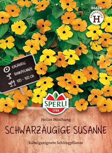 Sperli Schwarzäugige Susanne Samen Helios 86628 - Blumensamen für Zäune & Balkon, exotische Schlingpflanze mit gelb-orangen Blüten, Wuchshöhe bis zu 150 cm Sperli Schwarzäugige Susanne Samen Helios 86628 - Blumensamen für Zäune & Balkon, exotische Schlingpflanze mit gelb-orangen Blüten, Wuchshöhe bis zu 150 cm
