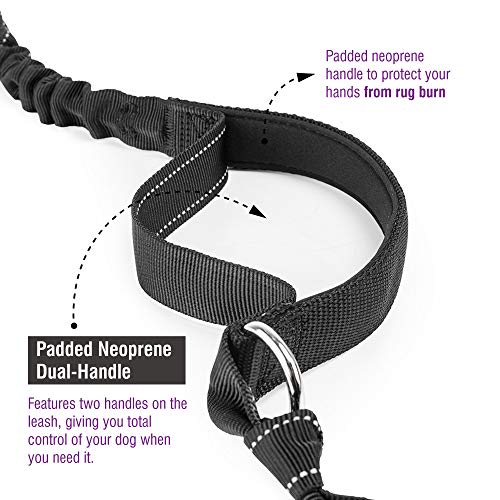 Hands Free Dog Leash, Dog Walking And Training Belt With Shock Absorbing Bungee Leash For Up To 180Lbs Large Dogs, Phone Pocket And Water Bottle Holder, Fits All Waist Sizes From 28” To 48” #TOP3