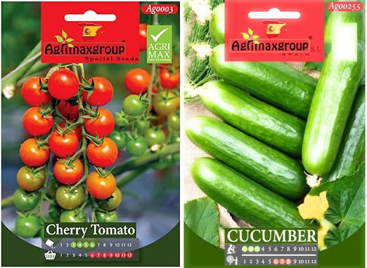Cherry Tomato seedss + Cucumber Seedss | Premium Quality Seedss by Agrimaxgroup Seeds Hybrid, seeds Organic Vegetable Seeds for Home and Garden Potted Plants,Easy to Plant,| Made in SPAIN 2pcs