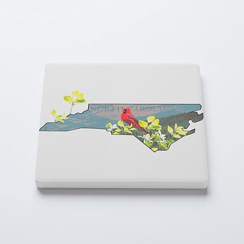 Miniatura 2 de Posavasos del estado de Carolina del Norte, decoración del hogar Joyride, posavasos de cerámica individual, posavasos cuadrados individuales de 4