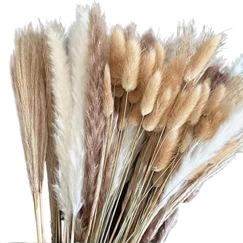 Pampas Grass Large Natural Pampas Bunny Rabbit Tails Dried Bouquet miniatura 1