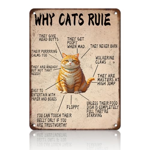 KIYOYO Why Cats Rule Metal Tin Sign Funny Cat Sign