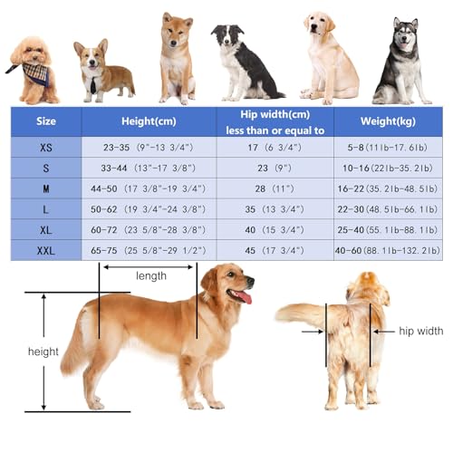Elitix Hunderollstuhl Rollstuhl für Verletzte Hunde, Nur zur Unterstützung der Vorderbeine, Mobilitätshilfen für die Vorderbeine Kleiner, Mittelgroßer und Großer Hunde, Beinschiene für Hunde(M)